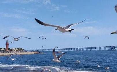 泉中水命在2023兔年运程 事业方面有进步插图