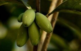 戊辰年出生人的命运如何缩略图 戊辰年出生人的命运如何