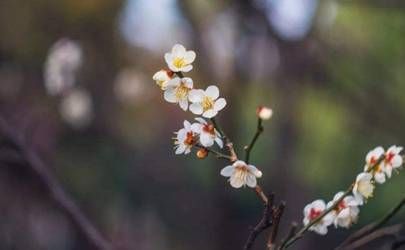 女人左手虎口有痣代表什么意思 女人左手虎口有痣寓意插图