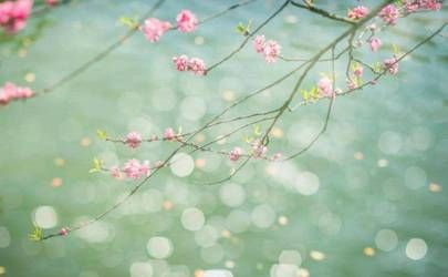 与财富有关的面相部位 面相哪里能看出财富插图