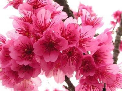 左下巴长黑痣是好还是坏 左下巴长黑痣代表什么插图