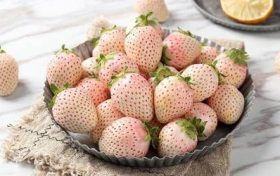 2023年农历正月二十五出生的宝宝命运 五行缺什么缩略图 2023年农历正月二十五出生的宝宝命运 五行缺什么