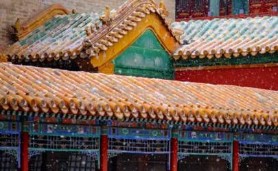 路旁土命是什么意思 路边的土命是不是命不好插图
