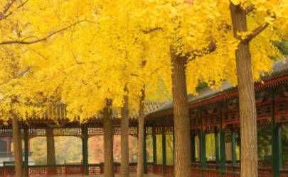 左腰上有痣代表什么？ 左腰上有痣代表什么插图