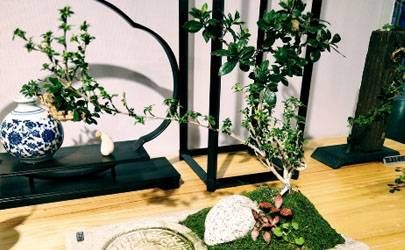 15种紫薇富贵命 富贵命格必备条件插图