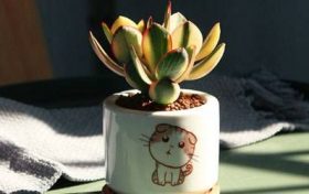 查戊辰年出生人的命运如何缩略图 查戊辰年出生人的命运如何