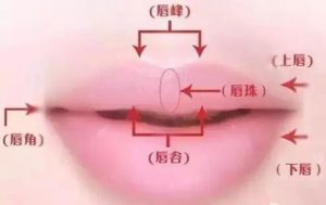 嘴两边含珠大富大贵 女孩两腮含珠面相图查看插图