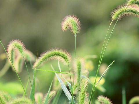 八字三会局大富 地支三会局的条件是什么插图