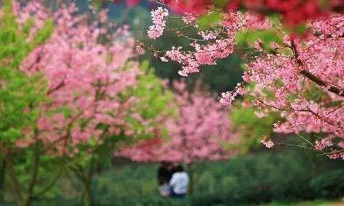 同性恋的八字是不是克妻 从八字命理看哪些人有同性恋取向插图
