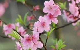 八字财运中发财的条件缩略图 八字财运中发财的条件