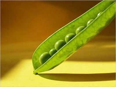 亥时出生的人真的不好吗? 千金难买亥时命插图