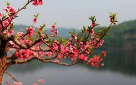 山下火命人什么颜色会好运?缩略图 山下火命人什么颜色会好运?