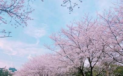 女孩脸上福气痣图片 哪些痣是好命痣插图