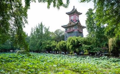 无心向学的人八字命理插图