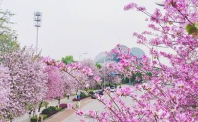 长贱痣好不好 女人长在哪里的痣是贱痣插图