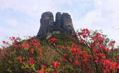 什么是八字十天干 十二地支的相生 相克 相害相刑相生相克插图