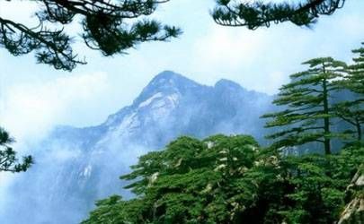 戊戌与癸卯天合地合详解婚姻 八字日柱恋爱观大揭秘插图