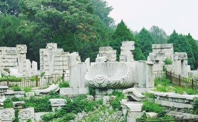 有龙气的人不要惹为什么插图