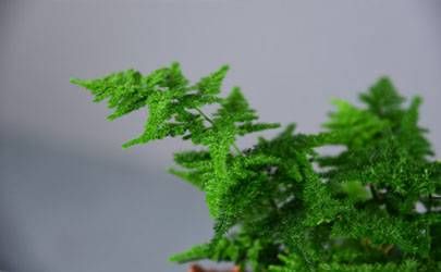 爱情在线测试 免费测算另一半长相插图
