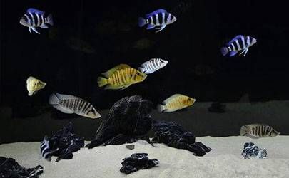 自我封闭倾向非常严重的人面相特征插图