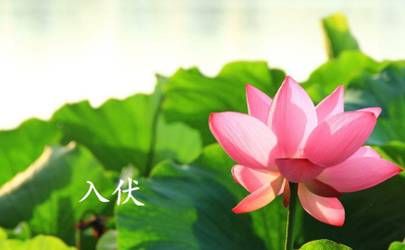 女人命带驿马是女强人 女人好命的八字插图