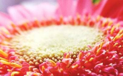 越老福气越好的痣 一等好命痣长在什么地方？插图