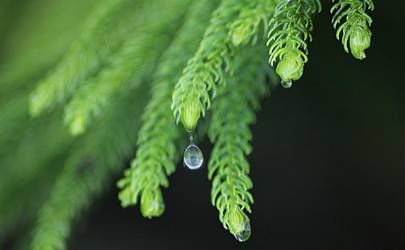 最容易惹烂桃花的体相特征插图