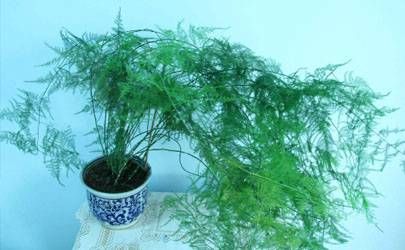 火克金生财是什么意思火克金危害运程发展趋势插图