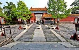 薄荷摆放家里禁忌及风水寓意缩略图 薄荷摆放家里禁忌及风水寓意