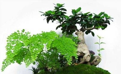 城头土命的人几月出生最好？农历三月出生的城头土命家境殷实插图