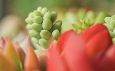 男性印堂生有杂纹代表什么？婚姻运势好不好插图