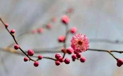 十二天干和十二地支是什么十二天干五行属性对照插图
