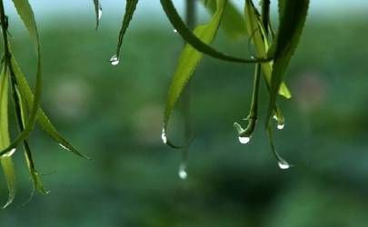 耳鸣测吉凶占卜法插图