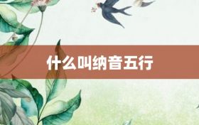 纳音是什么意思 纳音五行是什么意思缩略图 纳音是什么意思 纳音五行是什么意思缩略图