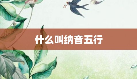 纳音是什么意思 纳音五行是什么意思插图