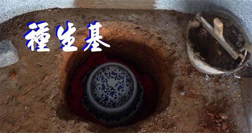 种生基是什么意思 种生基好处和坏处插图