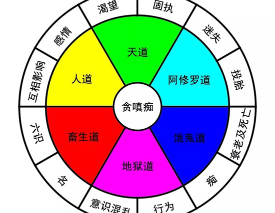 转世轮回真的存在吗 转世轮回需要多久插图