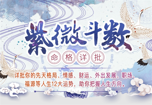 紫薇斗术是什么意思 紫薇斗术相关介绍插图