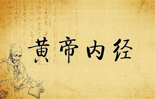 法于阴阳和于术数是什么意思 法于阴阳和于术数原文插图