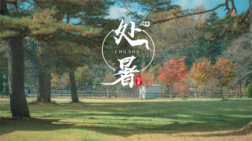 处暑晚上是不是凉快了 处暑多久就凉快了插图