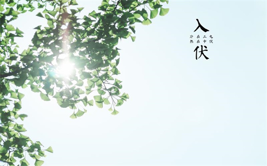 今年三伏总共多少天 今年三伏还是40天插图