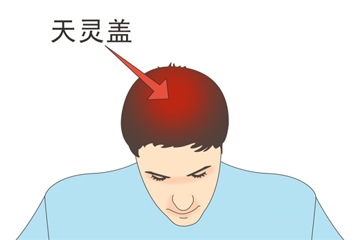 天灵盖有凸起的人命相 易获成功,事业有成插图
