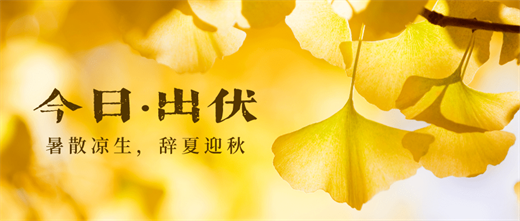 出伏是什么意思 出伏之后热多久插图