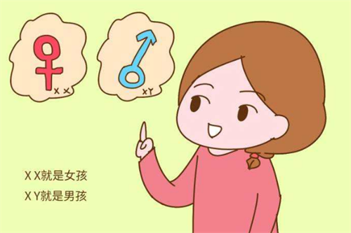 2024上半年是男孩多女孩 2024几月容易生男孩插图