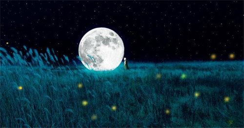 拥有白月光特征的星座女 12星座谁是白月光插图