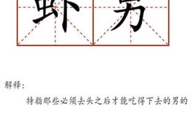 虾头男和下头男是一个意思吗 下头男的几大特征缩略图 虾头男和下头男是一个意思吗 下头男的几大特征缩略图