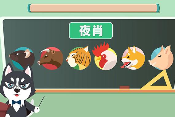 晚上生肖是什么生肖插图
