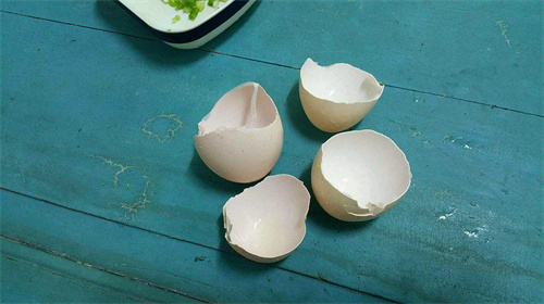 扔鸡蛋壳是什么迷信 满月丢鸡蛋壳的寓意插图