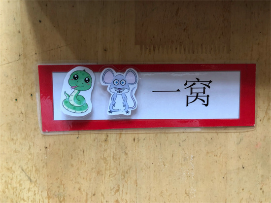 蛇鼠一窝是什么生肖 蛇鼠一窝最佳答案生肖插图