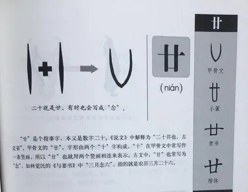 农历的廿字怎么读 廿读二十还是nian插图